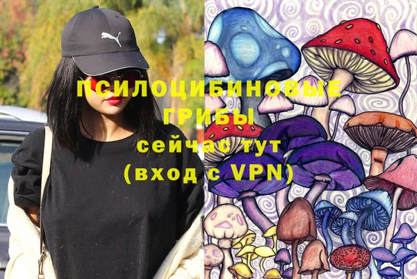 ALPHA PVP Алексеевка